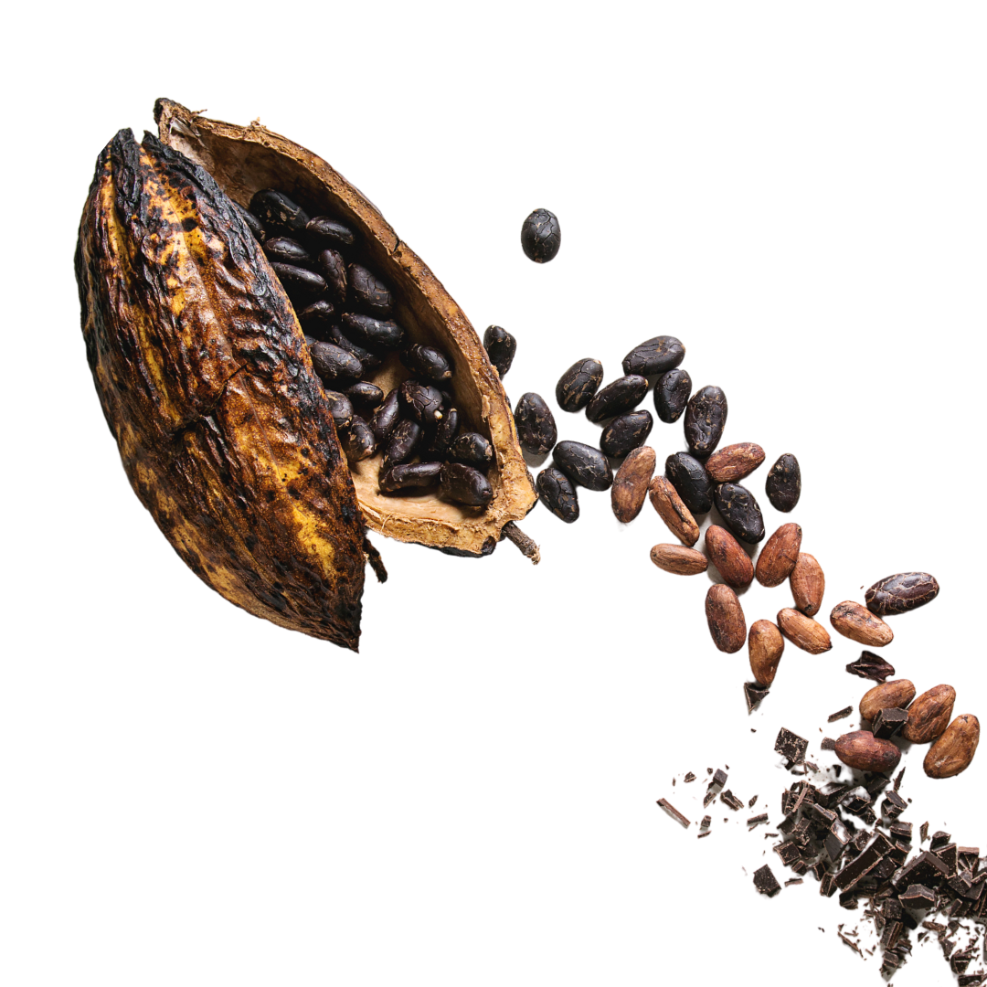 cacao nibs, cacao seeds, raw cacao, cacao ritual