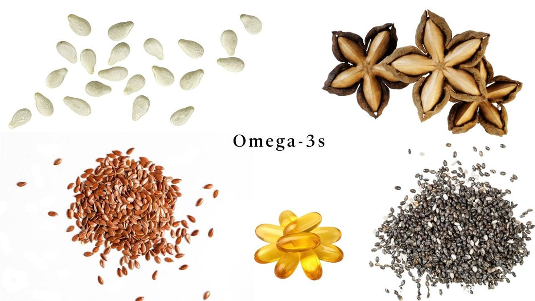 Omega-3 Showdown: Sacha Inchi vs. Fish Oil vs. Flaxseed vs. Chia Seeds