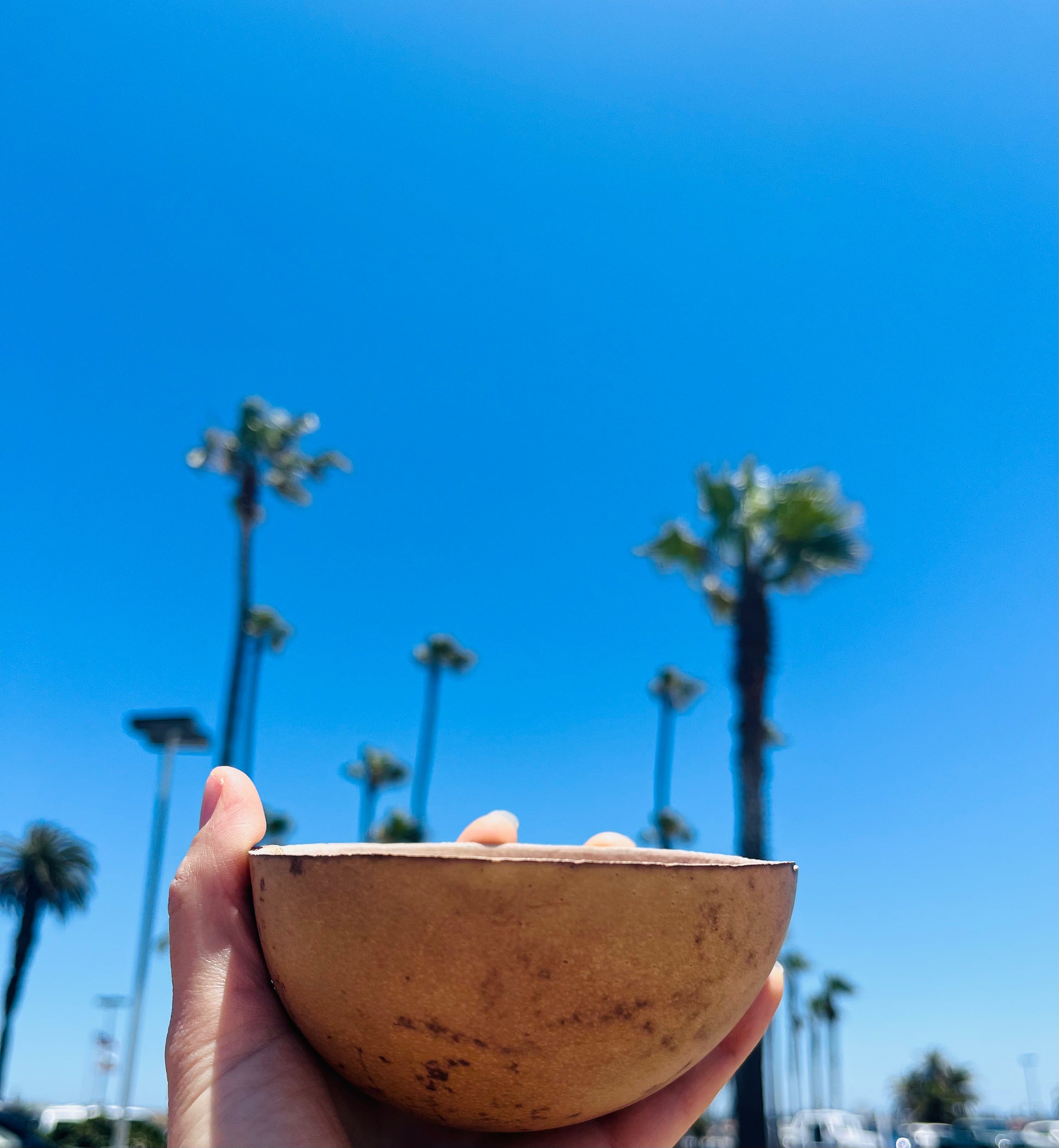 Jicara in hand infront of palm trees